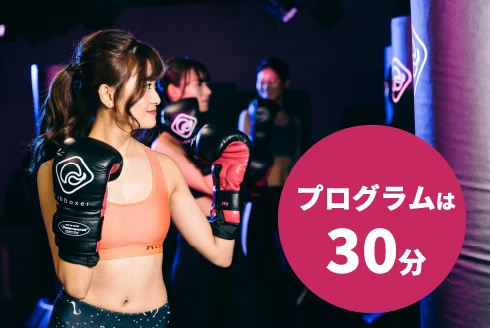 プログラムは30分