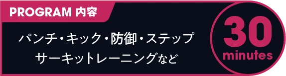 PROGRAM内容 パンチ・キック・防御・ステップ、サーキットトレーニングなど