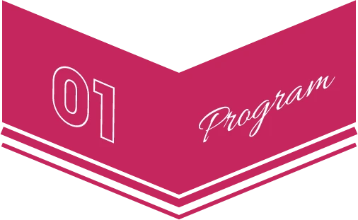 01 Program
